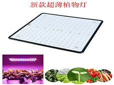 LED植物灯线路板三防胶的防护使用