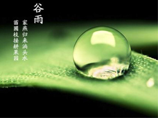 杨花柳絮随风舞，雨生百谷夏将至